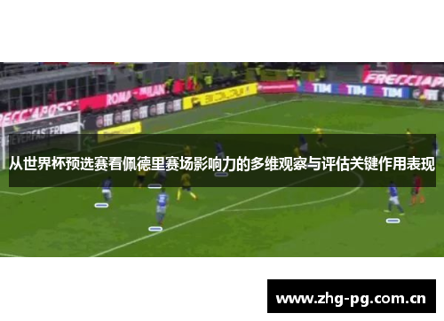从世界杯预选赛看佩德里赛场影响力的多维观察与评估关键作用表现 从世界杯预选赛看佩德里赛场影响力的多维观察与评估关键作用表现