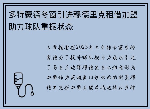 多特蒙德冬窗引进穆德里克租借加盟助力球队重振状态 多特蒙德冬窗引进穆德里克租借加盟助力球队重振状态